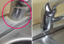 HTJELA SAM DA KUPIM NOVU ČESMU , a onda mi je svekrva OTKRILA TRIK:Pomješajte ova 2 sastojka i gledajte kako nestaju MRLJE OD KAMENCA!