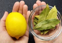 Uzmite limun i zabodite lovorov list: Neko bi trebao dobiti medalju za ovu ideju!