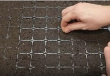 Točan DATUM sjetve paradajza, paprike, krastavaca i mrkve u 2025. godini: Vrtlari, ZAPIŠITE OVO!