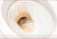 Odličan KUĆNI TRIK za uklanjanje žutih mrlja i kamenca u toaletu bez hemikalija: Testirano, djeluje odmah!