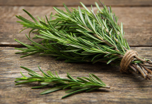 STARO RIMSKO VJEROVANJE KAŽE DA JE SVAKI DOM KOJI IMA OVU BILJKU ZAŠTIĆEN: Zle sile će ga zaobići u velikom luku