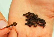 OČISTITE VAŠA PLUĆA: Prestanite kašljati ZA 3 DANA, ovaj čaj jača imunitet, ODLIČAN U LIJEČENJU BRONHITISA