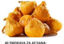 40 SMOKAVA ZA 40 DANA PRIRODNI LIJEK KOJI ĆE VAS PREPORODITI