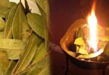 KADA SVE KRENE P0 ZLU: Zapalite list lovora u sobi i gledaje šta će se desiti nakon par minuta…