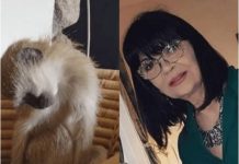 Nada Obrić živela sa majmunom: Nije ni slutila šta će je te večeri snaći u podrumu! (FOTO)