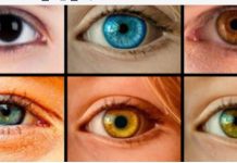 Vaša boja očiju krije tajnu staru 10.000 godina: Evo šta nauka i svetlost otkrivaju o vama