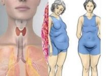 Štitnjača IMA ključnu ulogu u regulaciji hormona i održavanju zdrave težine! Pogotovo ako se radi o pretjeranoj mršavosti ili debljini. (FOTO)