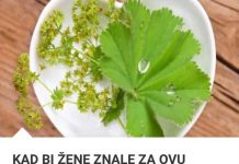 KAD BI ŽENE ZNALE ZA 0VU BILJKU, GINEK0L0G im ne bi trebao: Pomaže kod NEPL0DN0STI, a miomi i ciste ODMAH nestaju! (FOTO)