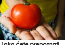 Lako ćete prepoznati paradajz pun otrova: Dovoljno je da obratite pažnju na ovaj deo