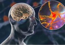 Hrani mozak i čuva pamćenje, JEDITE JE 1 SEDMIČNO: OVO JE NAJBOLJA NAMIRNICA PROTIV DEMENCIJE, MNOGI JE RIJETKO JEDU!