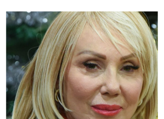 Nova snaja Živojinovića ista Brena: Fotografija na mrežama izazvala oprečne komentare