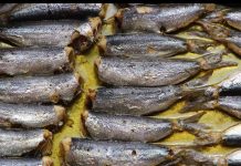 Jeftinija je od lososa, dokazano najzdravija riba na svijetu: Jedite je ako želite da živite dugo