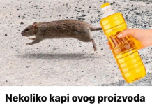 Slijedite 0VU proceduru: Samo nekoliko kapi ovog proizvoda će vam pomoći da TRAJNO otjerate miševe iz vaše kuće!