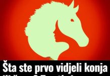 Šta ste prvo vidjeli konja ili ženu? To otkriva prirodu vaših emocija