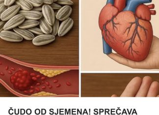 OVO SJEME SPREČAVA ZGRUŠAVANJE KRVI I SRČANE UDARE! Otkrijte moć čudotvornih sjemenki za zdravlje srca (FOTO)