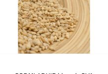 PODMLAĐUJE i hrani: OVA žitarica s KOLAGEN0M jača KOSTI i čuva crijeva: JEDITE JE SVAKI DAN! (FOTO)