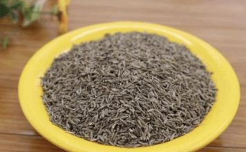 Najbolje čisti jetru, leči nadutost i jača krvne sudove, pominje se u Bibliji i Kuranu. Evo kako ga koristiti!