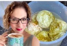 JELA JE 2 GODINE SVAKI DAN KISELI KUPUS: Otišla da IZVADI KRV, kad joj je DOKTOR SAOPŠTIO OVO ZANEMELA JE…