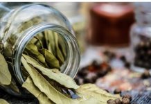 LOVOROV LIST: Spašava srce, liječi urinarne infekcije, smiruje psihu! OVO SU NAČINI KAKO DA GA KORISTITE