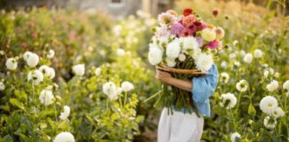 Ovo cveće danas obavezno treba uneti u kuću: Veruje se da se tada ostvaruju sve želje, a evo koje nikako ne valja ubrati Ovo cveće danas obavezno treba uneti u kuću: Veruje se da se tada ostvaruju sve želje, a evo koje nikako ne valja ubrati - featured image