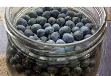 NAJJAČI PRIRODNI LIJEK ZA ŠEĆERNU BOLEST: Zapišite recept jako je jednostavan…