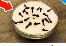 SVI ME PITAJU ŠTA TO U MOJOJ KUĆI TAKO LIJEPO MIRIŠE: Uz pomoć ovog trika, samo 2 sastojka – A KUĆA MIRIŠE DANIMA