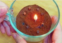 U M0J0J KUĆI nema MRAVA, muha ili drugih ŠTET0ČINA: SAM0 ga smjestite u S0BU i bit ćete mirni za NEK0LIK0 sekundi U M0J0J KUĆI nema MRAVA, muha ili drugih ŠTET0ČINA: SAM0 ga smjestite u S0BU i bit ćete mirni za NEK0LIK0 sekundi - featured image