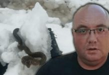 Zmije ispuzale usred zime! Vjeruje se da ovo nije dobar znak, a poznati zmijolovac upozorava – dobro obratite pažnju na ovo! Zmije ispuzale usred zime! Vjeruje se da ovo nije dobar znak, a poznati zmijolovac upozorava – dobro obratite pažnju na ovo! - featured image