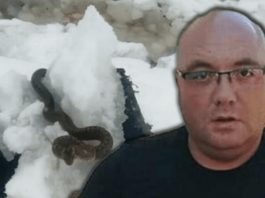 Zmije ispuzale usred zime! Vjeruje se da ovo nije dobar znak, a poznati zmijolovac upozorava – dobro obratite pažnju na ovo! Zmije ispuzale usred zime! Vjeruje se da ovo nije dobar znak, a poznati zmijolovac upozorava – dobro obratite pažnju na ovo! - featured image