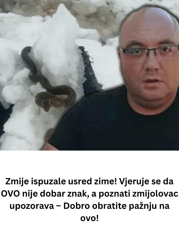 Zmije ispuzale usred zime! Vjeruje se da ovo nije dobar znak, a poznati zmijolovac upozorava – dobro obratite pažnju na ovo! - featured image Zmije ispuzale usred zime! Vjeruje se da ovo nije dobar znak, a poznati zmijolovac upozorava – dobro obratite pažnju na ovo! - featured image
