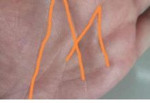 Slovo M na dlanu imaju posebni ljudi!!