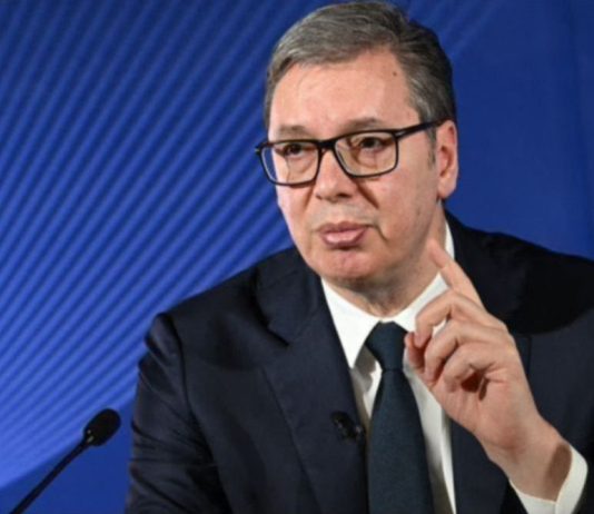 Vučić zabrinut: “Ako se Dunav spusti još 30 centimetara, gotovi smo”